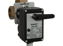 Servomotor SM80
